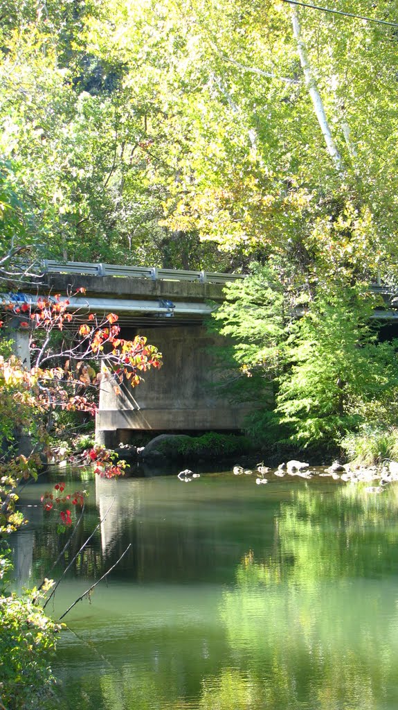 red bud isle