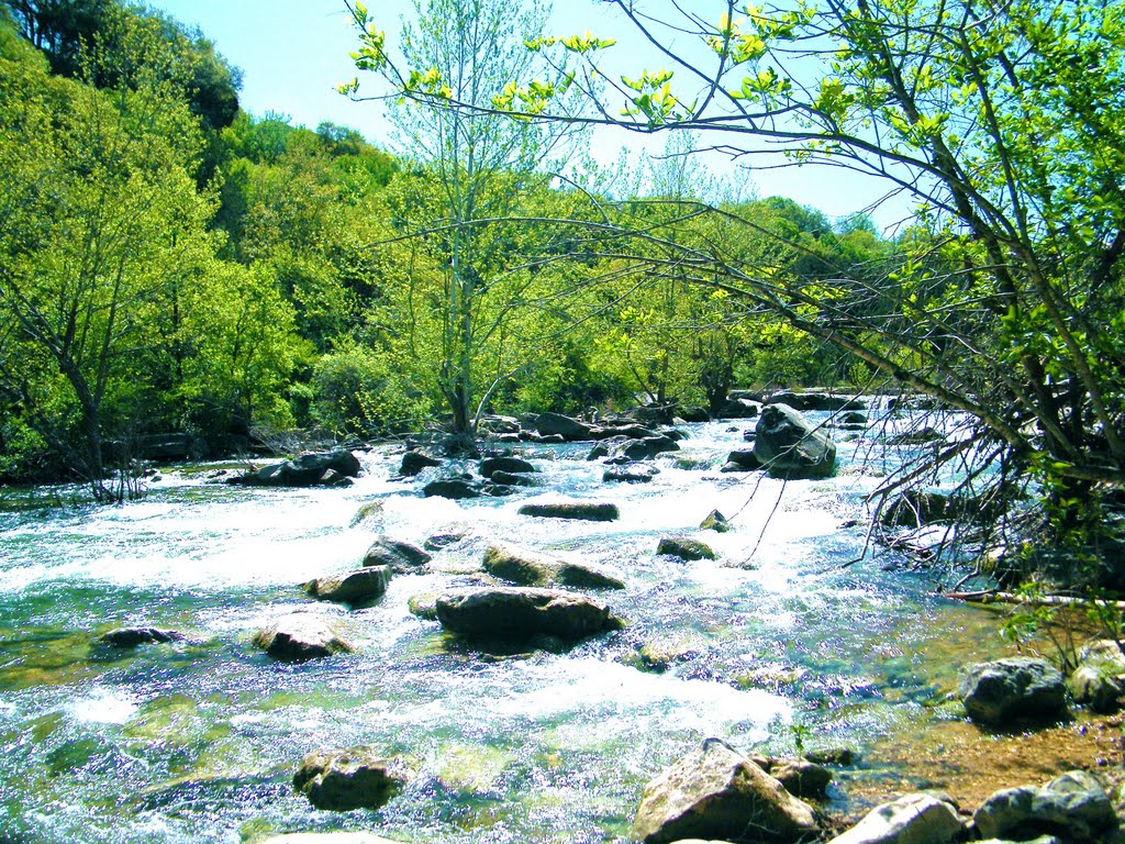 Austin Greenbelt, near Campbells hole.