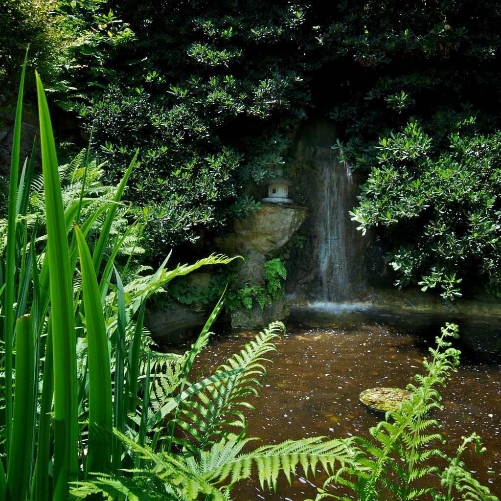 Japanese Gardens at Zilker Botanical Garden, Austin, TX