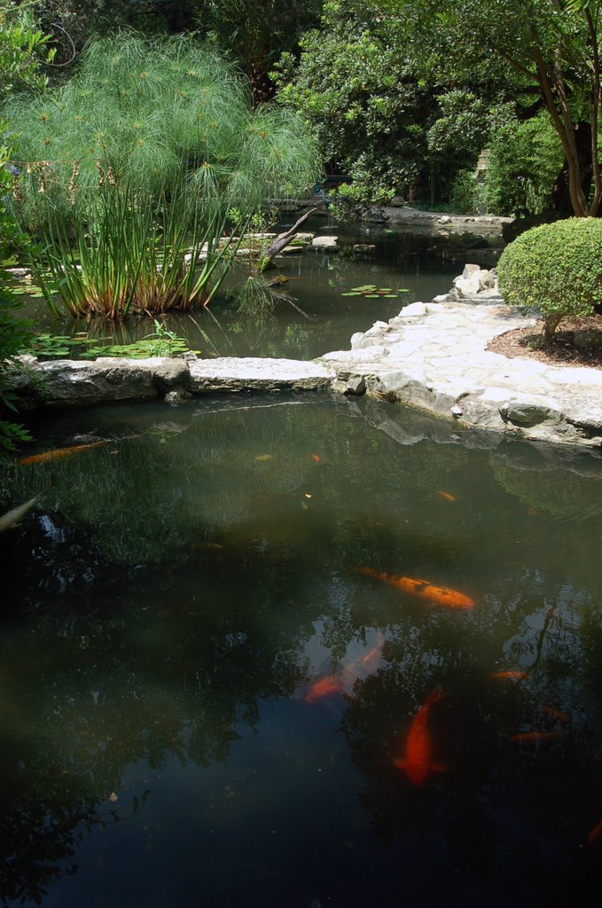 Zilker Park Botanical Japanese Garden