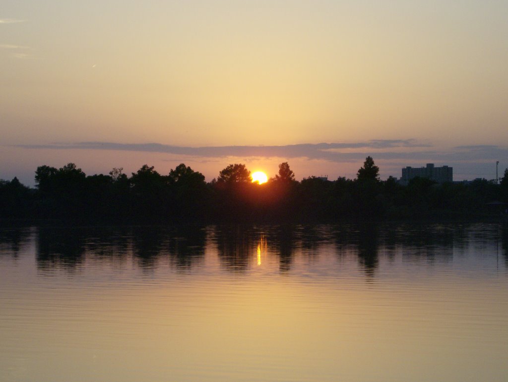 austin