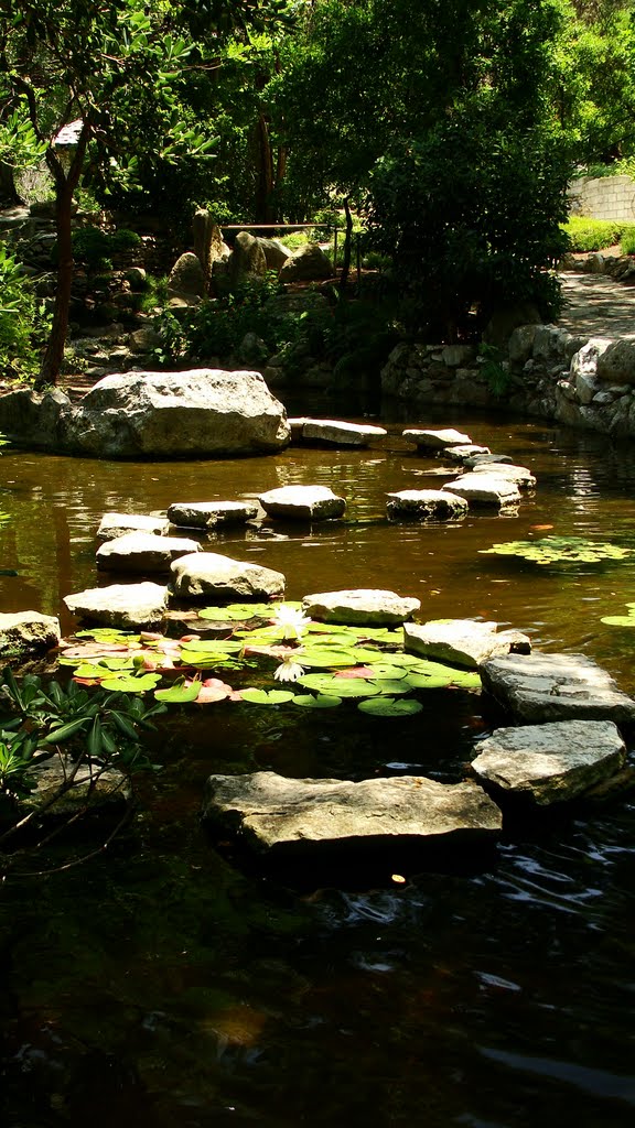 Zilker Botanical Garden