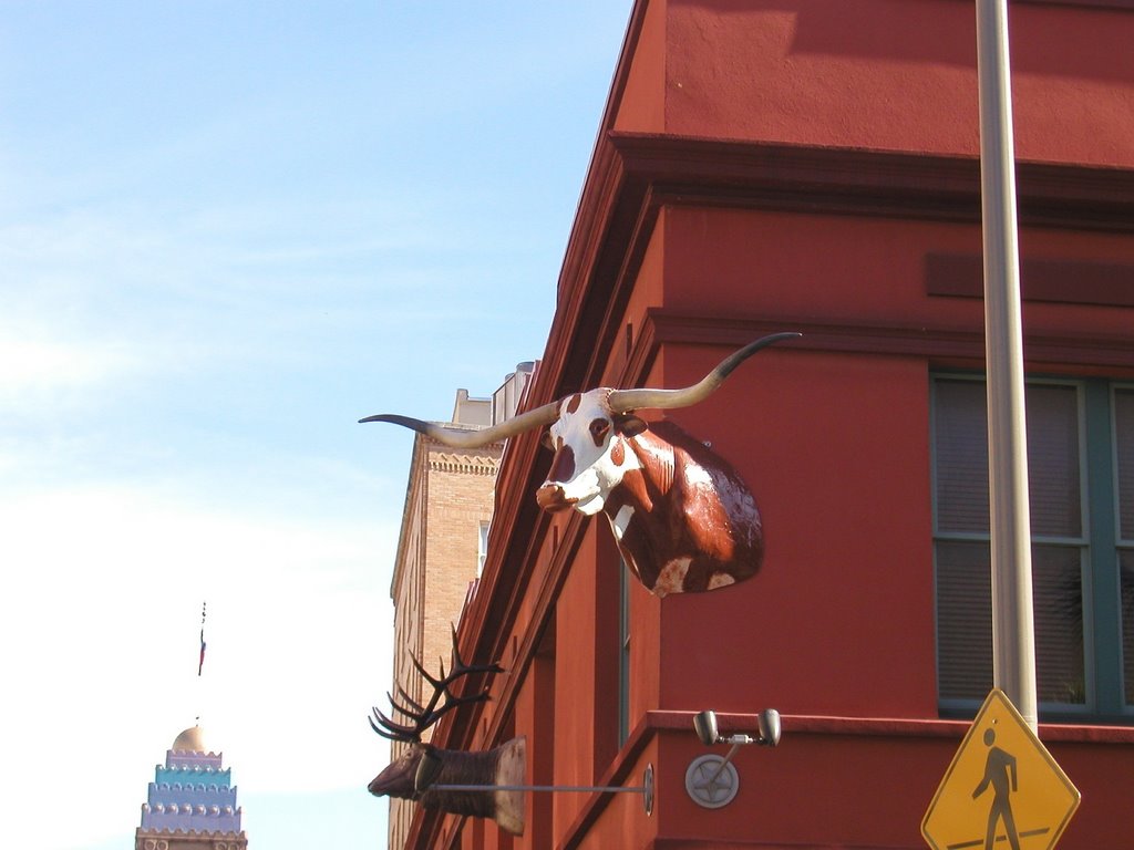 San Antonio - 4