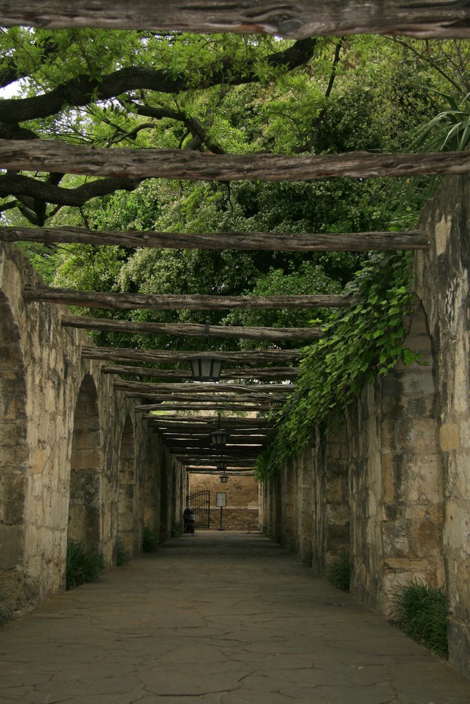 The Alamo - South Walkway, San Antonio, Texas