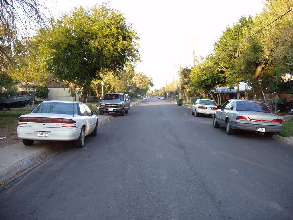 2004 Biddle St in San Benito, Texas