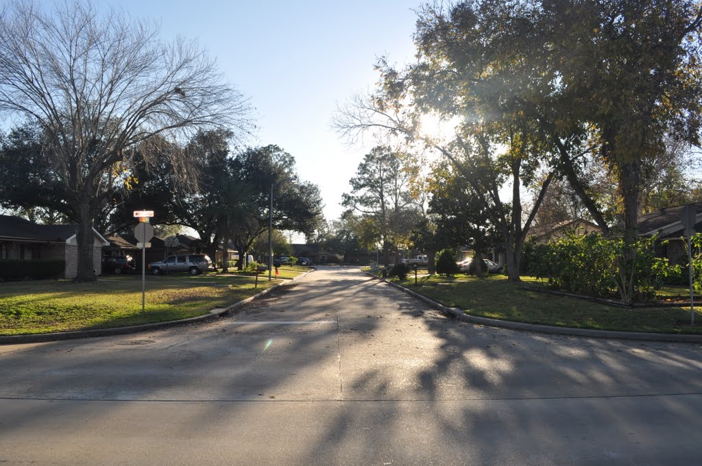 Suzanne Street