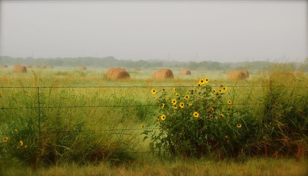 Karnes City
