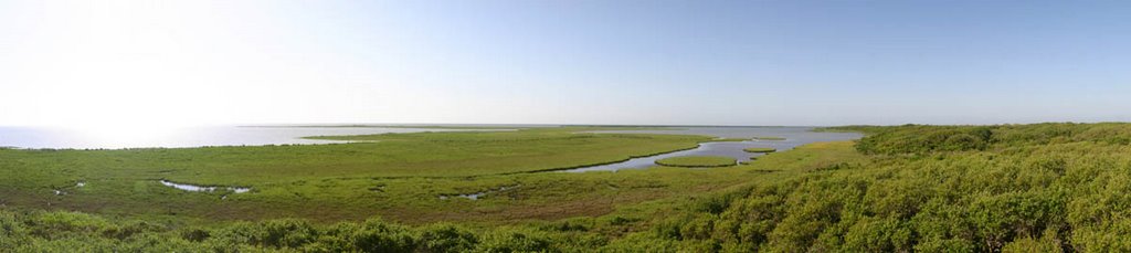 Mustang Lake, Aransas Wildlife Refuge