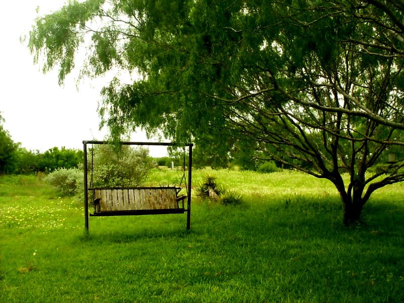Swing Under Mezquite Tree, Falfurrias, Texas, USA