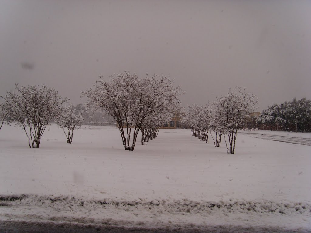 February 2010