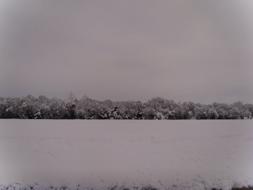 11 inches of fresh snow in Texas - 02/2010