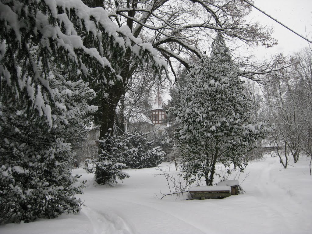 Krügerpark im Winter