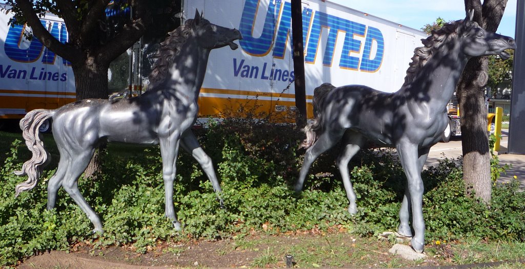 Horse Statues, Farmers Branch, Tx.