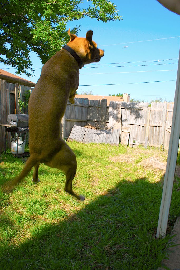 Air Sable