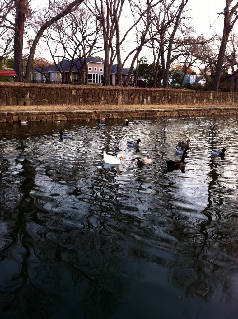Rawhide Creek, Watterwork Park, Farmers Branch, TX