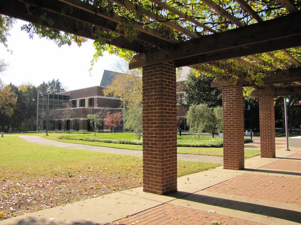 City Hall - East side of building seen from recreational area
