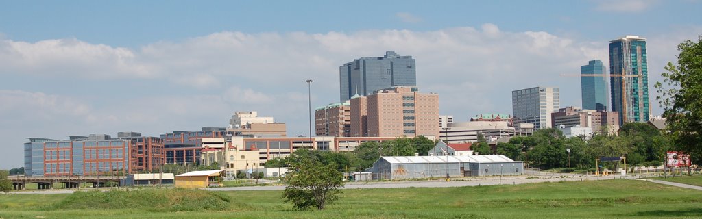 Fort Worth Skyline 2