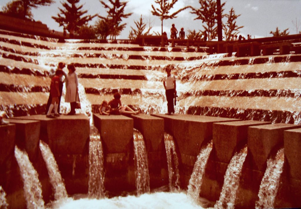 FORT WORTH, TEXAS.   WATER GARDENS.