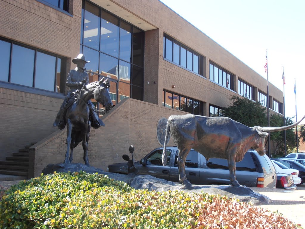 cowpoke and longhorn