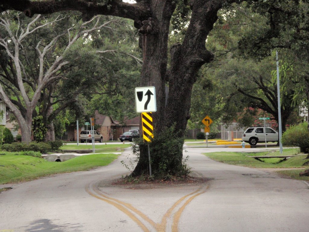 Tree in Pecos street looking West