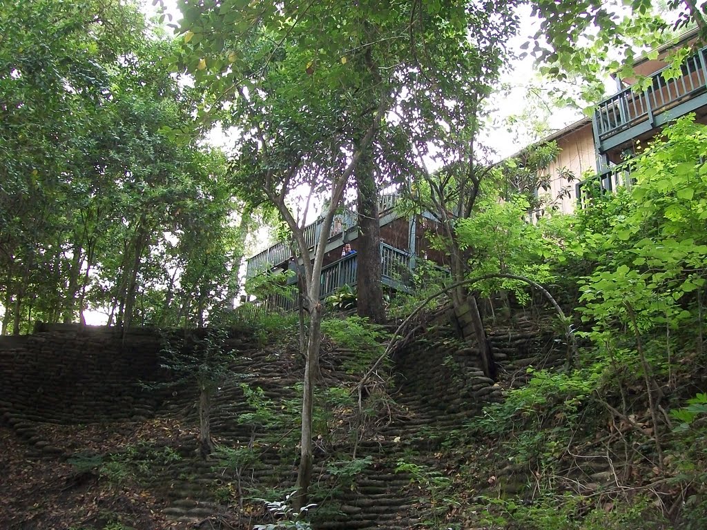 Behind the Condo