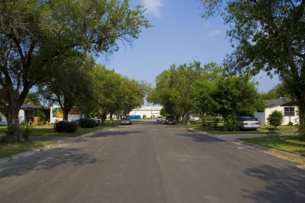 Cardinal St. Facing East (2007)