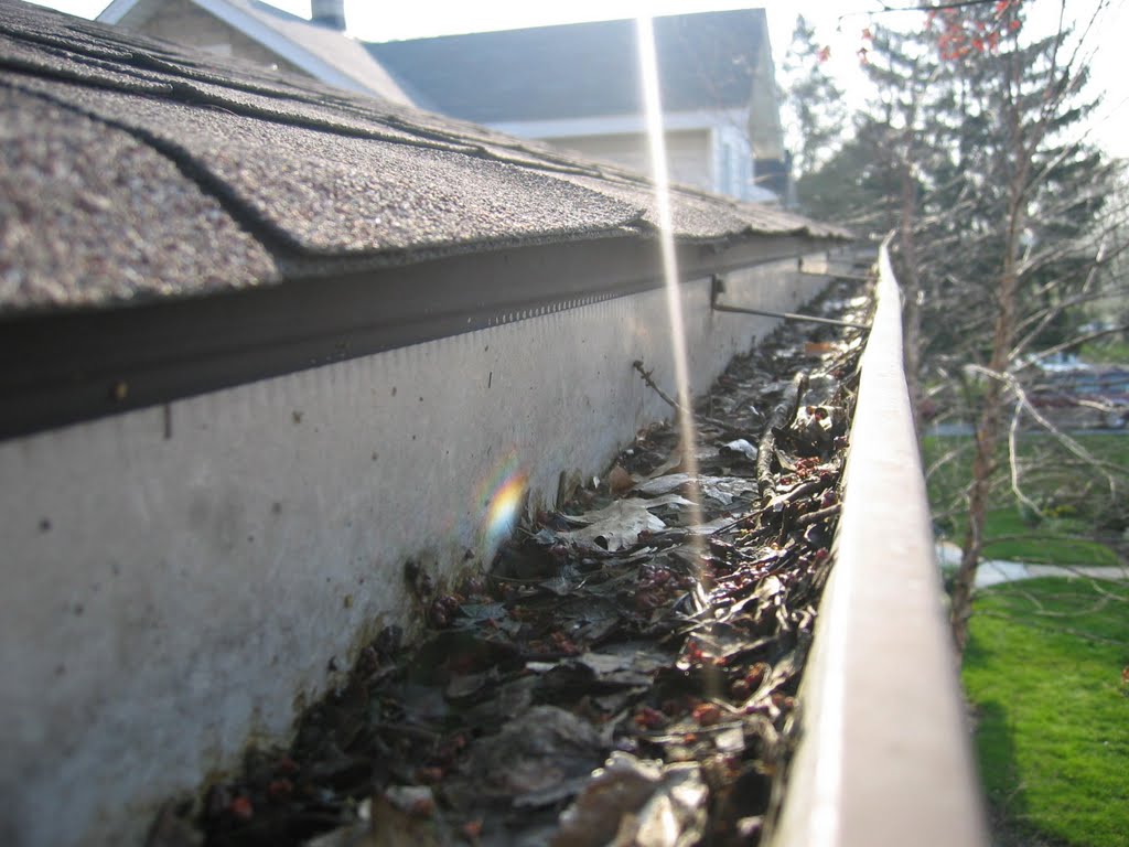 Gutter Cleaners Houston TX