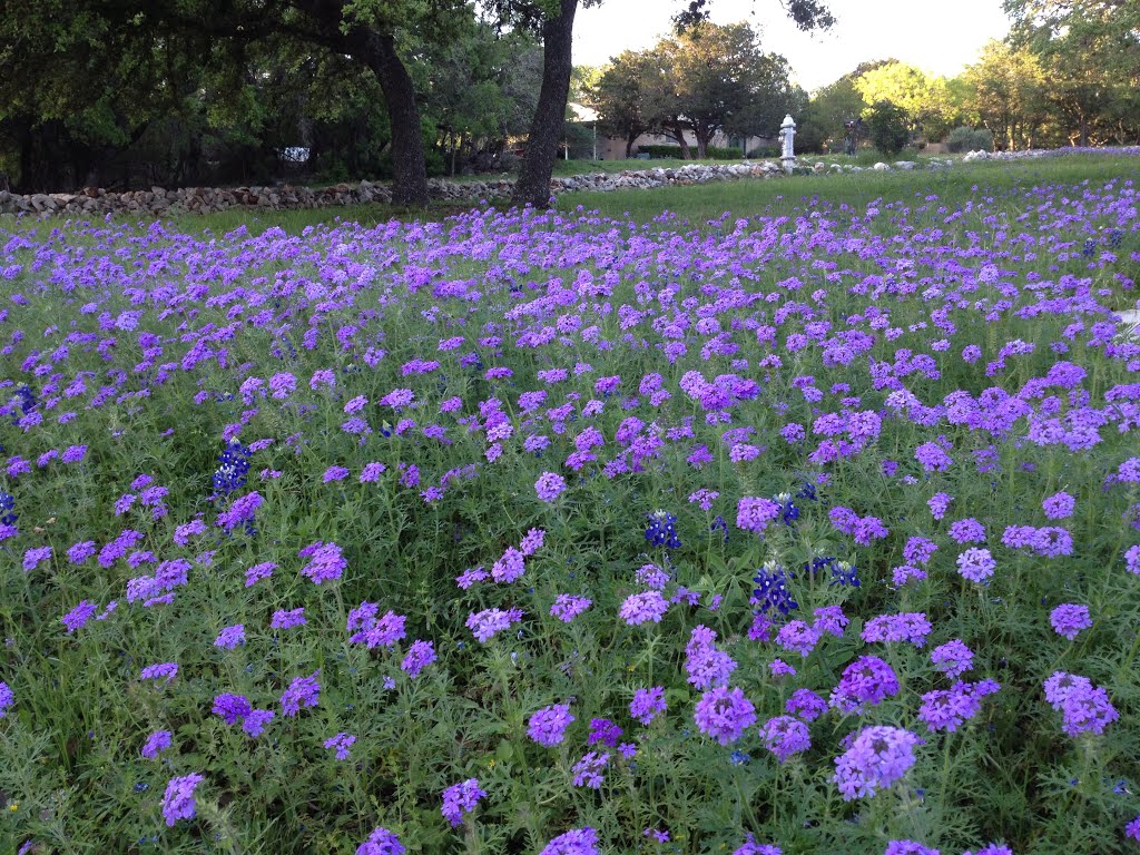 San Antonio, Bexar County, Texas, USA