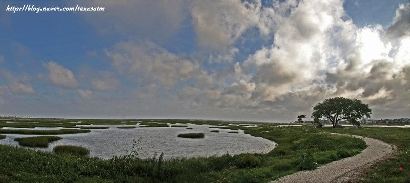 Estuary at Galveston