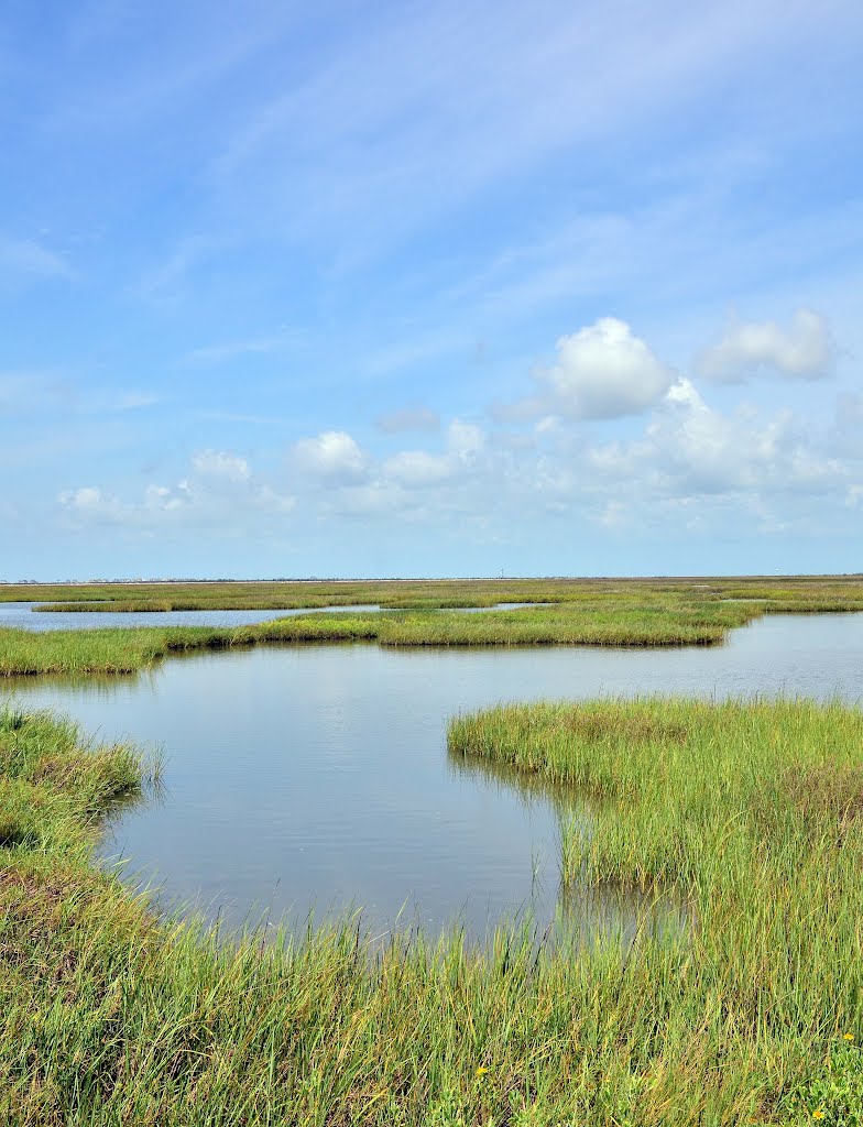 Raised on the Bayou