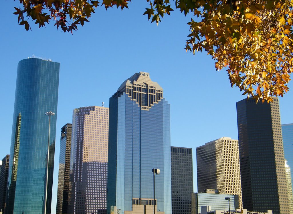 Skyline District from Eleanor Tinsley Park