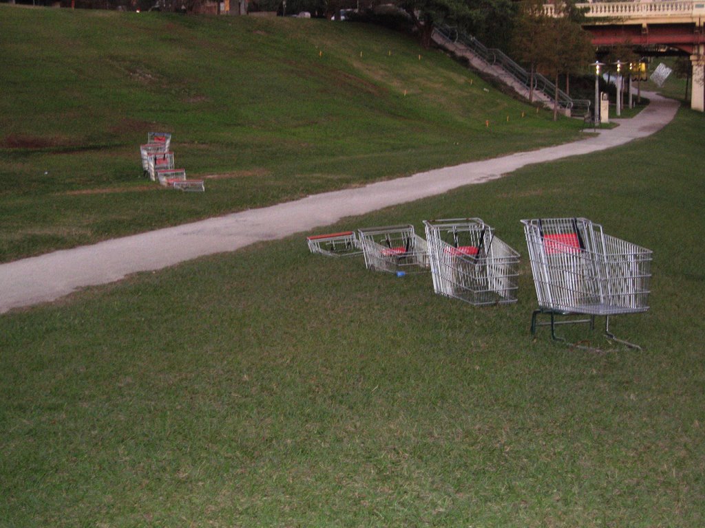 Submersible Cart