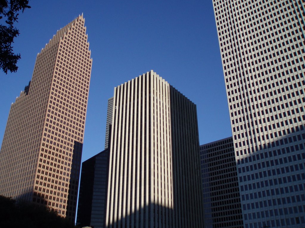 Bank of America & Houstons Skyline District
