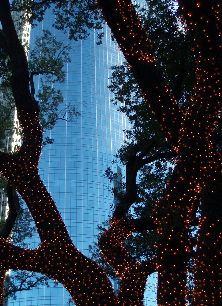 Festive Lights at Hermann Square (Wells Fargo Bank Plaza in back)
