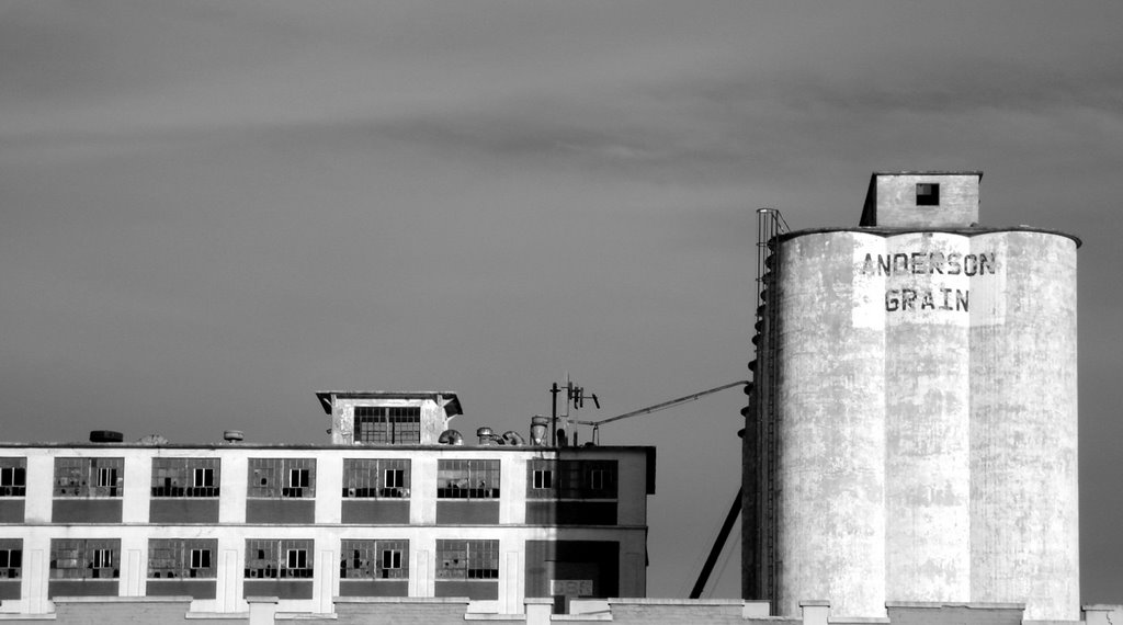 Anderson Grain