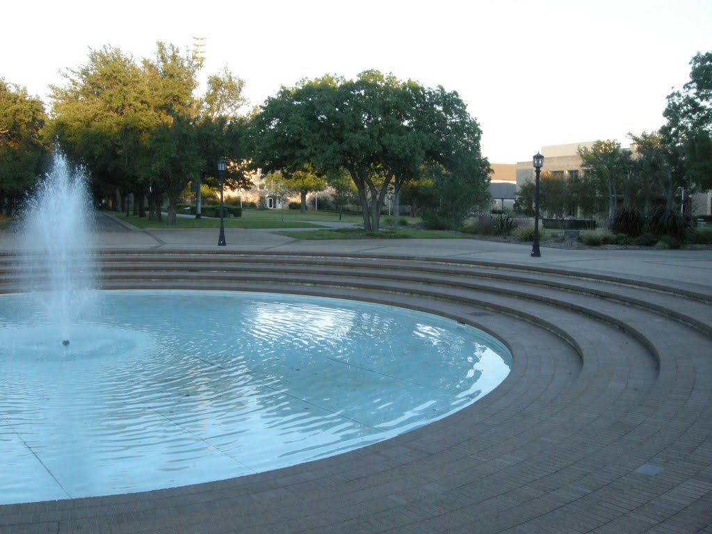 Amphitheatre Pool - Oct 2010