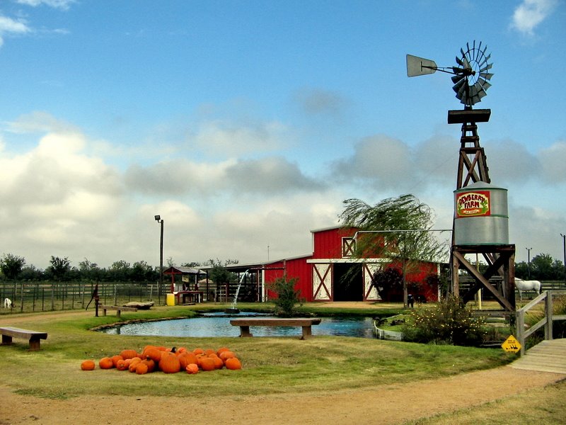 Pine Island