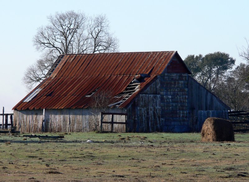 Old barn near La Grange, Texas