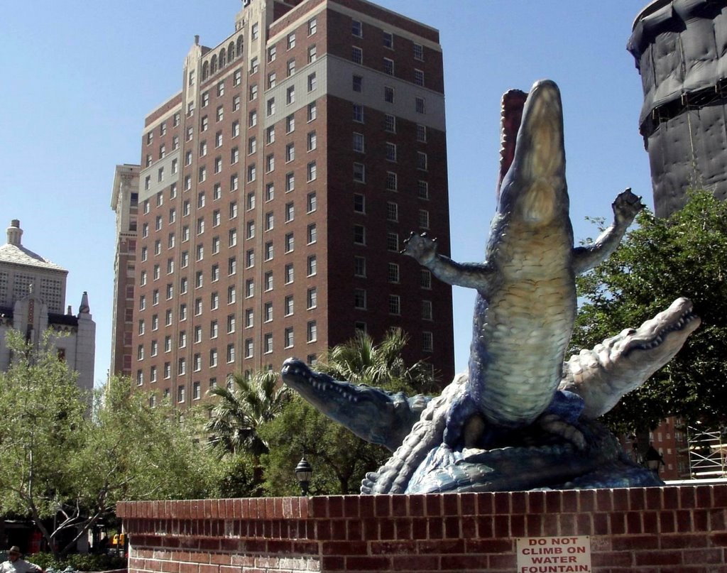 Crocs downtown El Paso TX