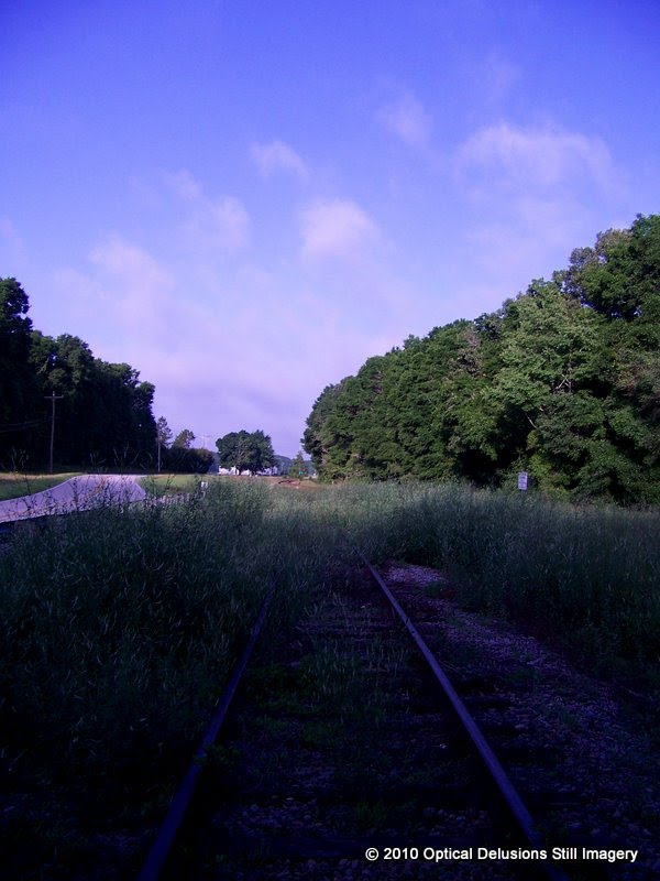 abandoned railroad tracks