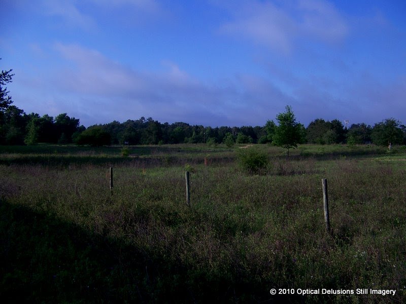 field