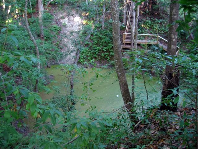 Alachua Sink