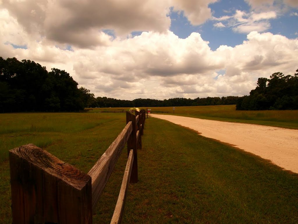 Gainesville