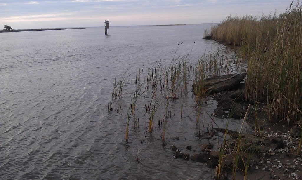 Apalachicola FL