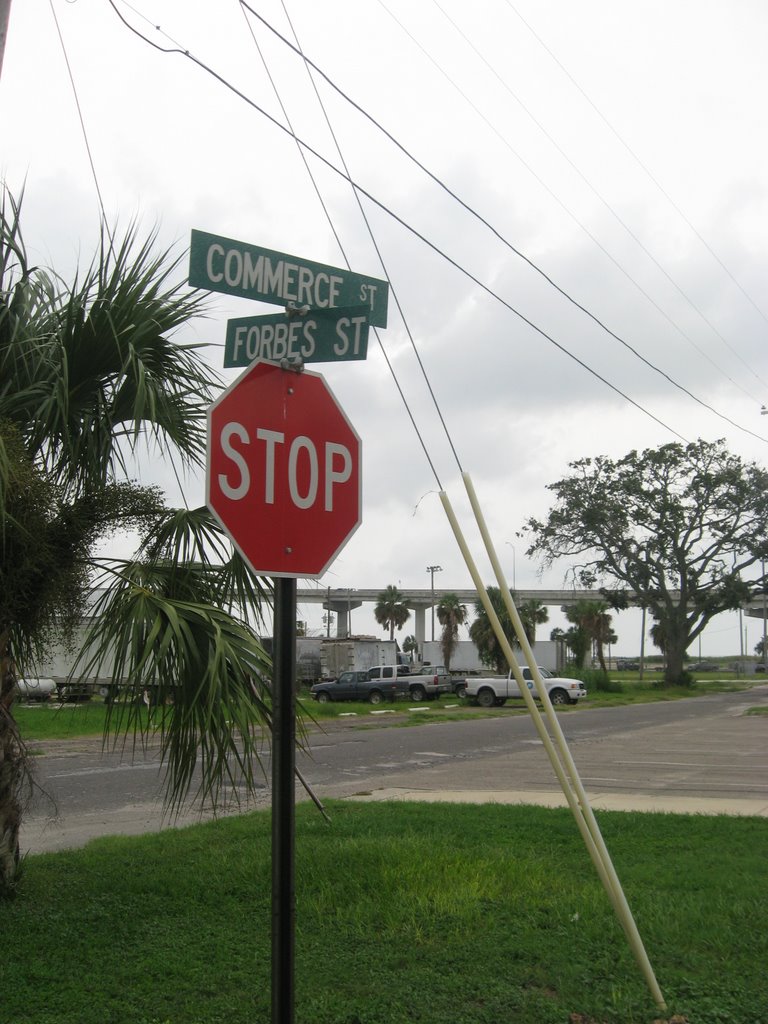 Apalachicola, FL - August 2008
