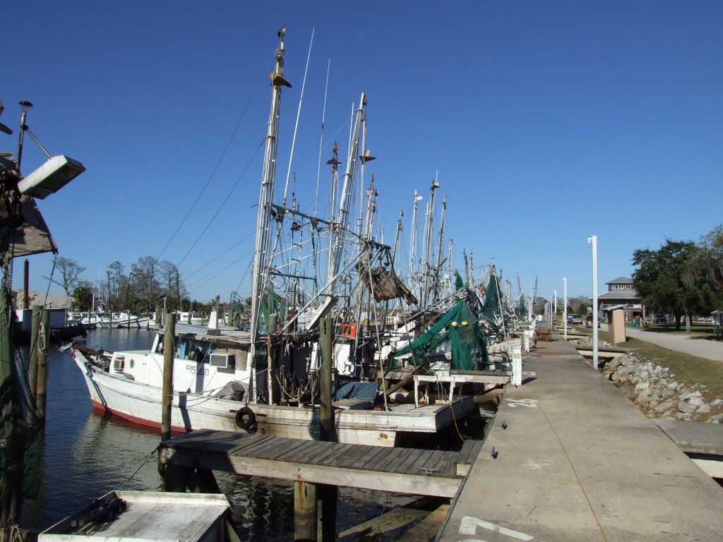 Fishing Boats
