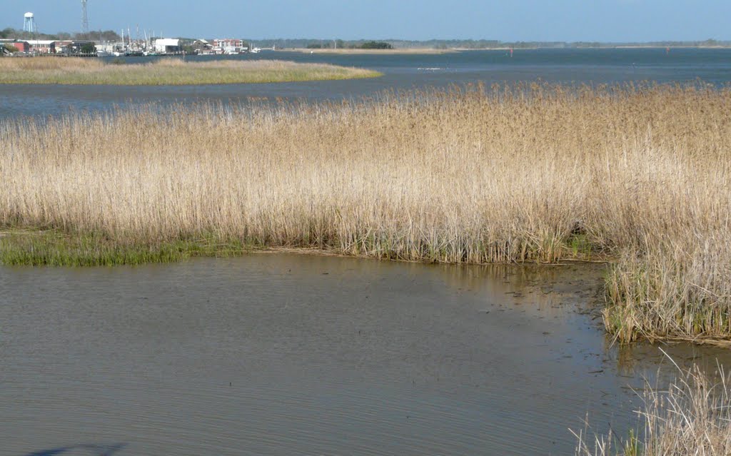 Apalachicola