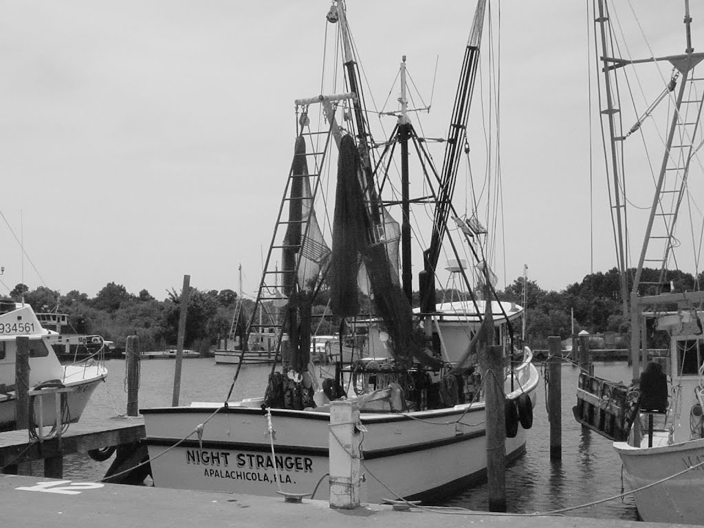 Ronnys Boat