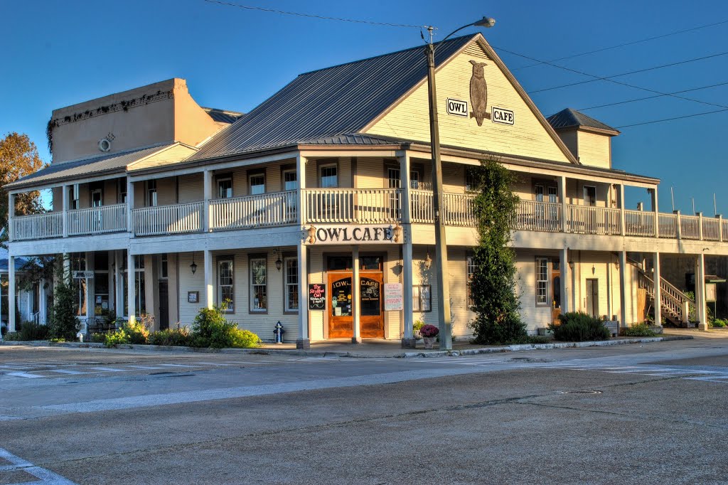 The Owl Cafe