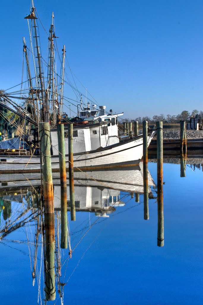 Scipio Creek Marina, Apalachicola